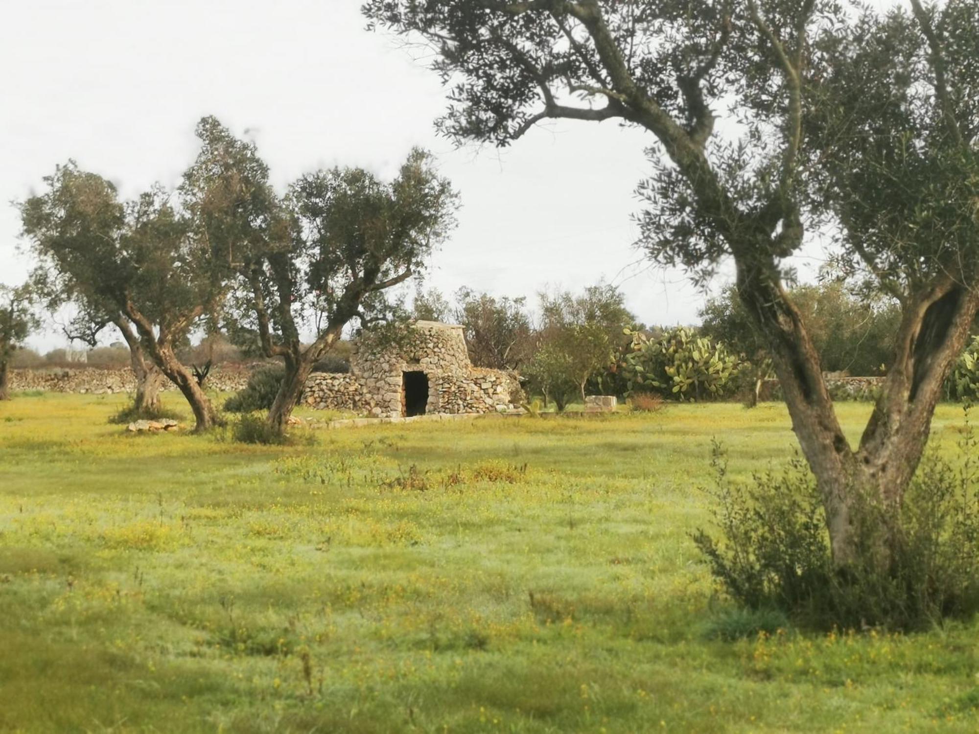 Villa Mios Muro Leccese Exterior foto