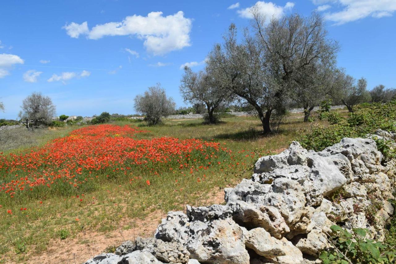 Villa Mios Muro Leccese Exterior foto